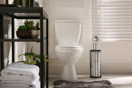 Toilet Installation